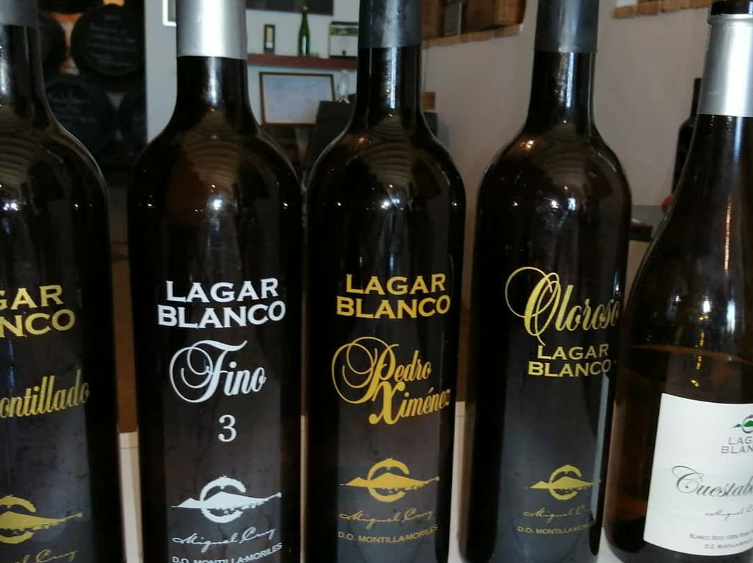 Bodegas Lagar Blanco景点图片