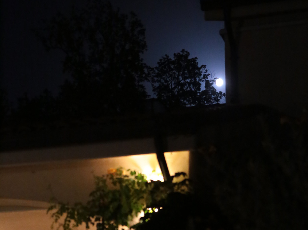 Azienda Agrituristica Il Quadrifoglio主图