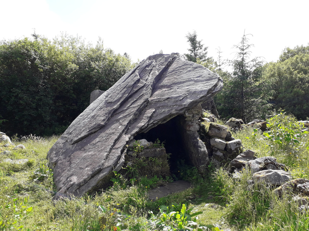 Cavan Burren Park-Cavan必去景点