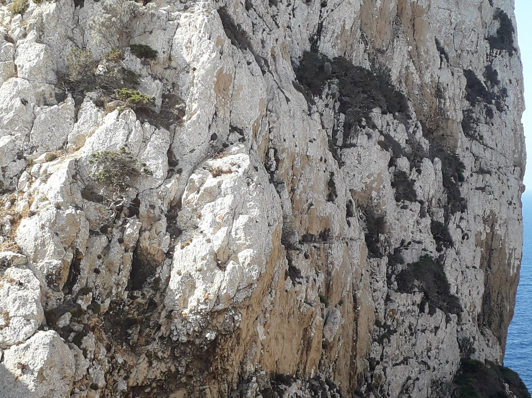 Area Marina Protetta - Capo Caccia / Isola Piana-Tramariglio必去景点
