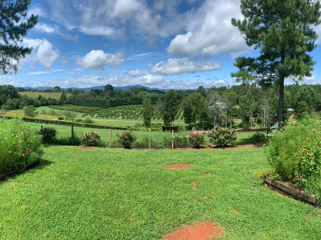 Parker-Binns Vineyard-米尔泉必去景点