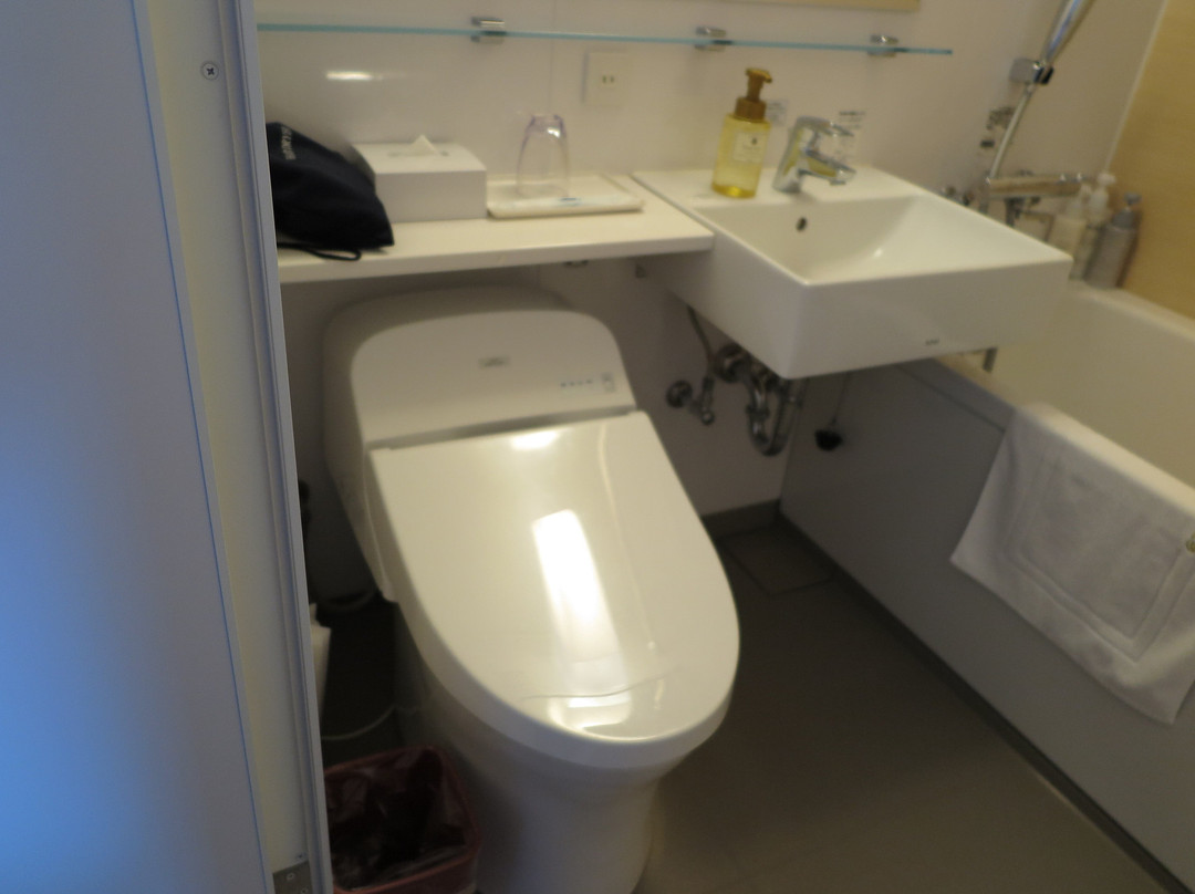 Matsue Excel Hotel Tokyu主图