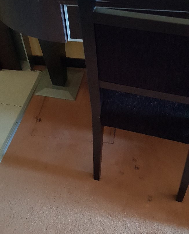 Dajti Tower Belvedere Hotel主图