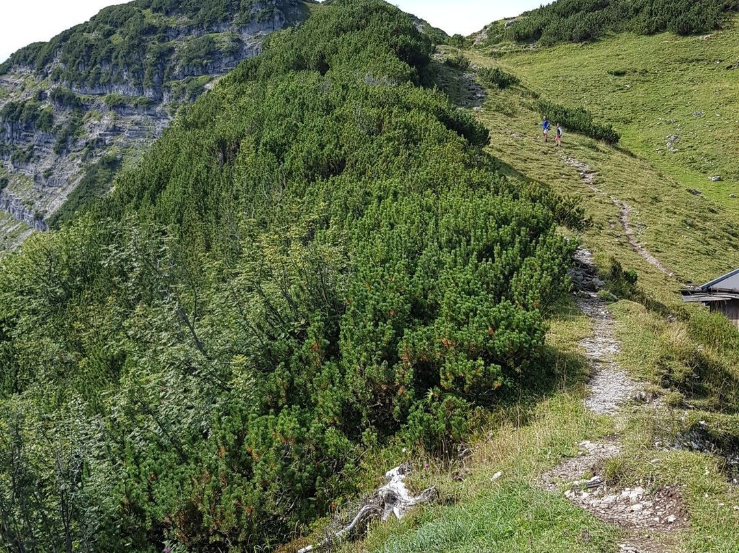 Bergbahnen Kössen-Koessen必去景点