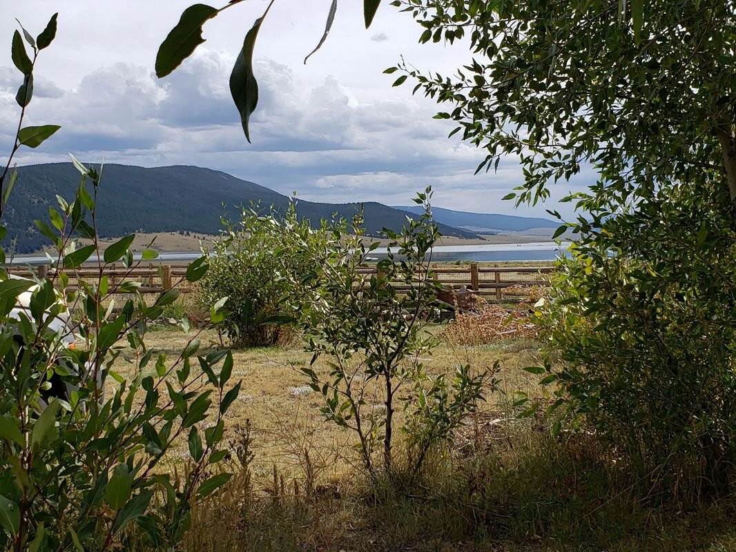 Gold Pan Motel主图