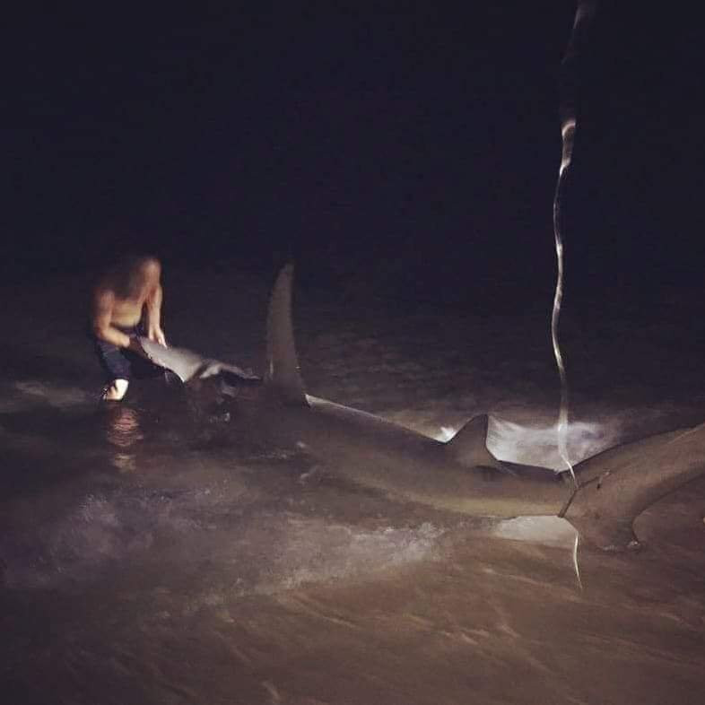 Off The Beach Shark Fishing Day Trips景点图片