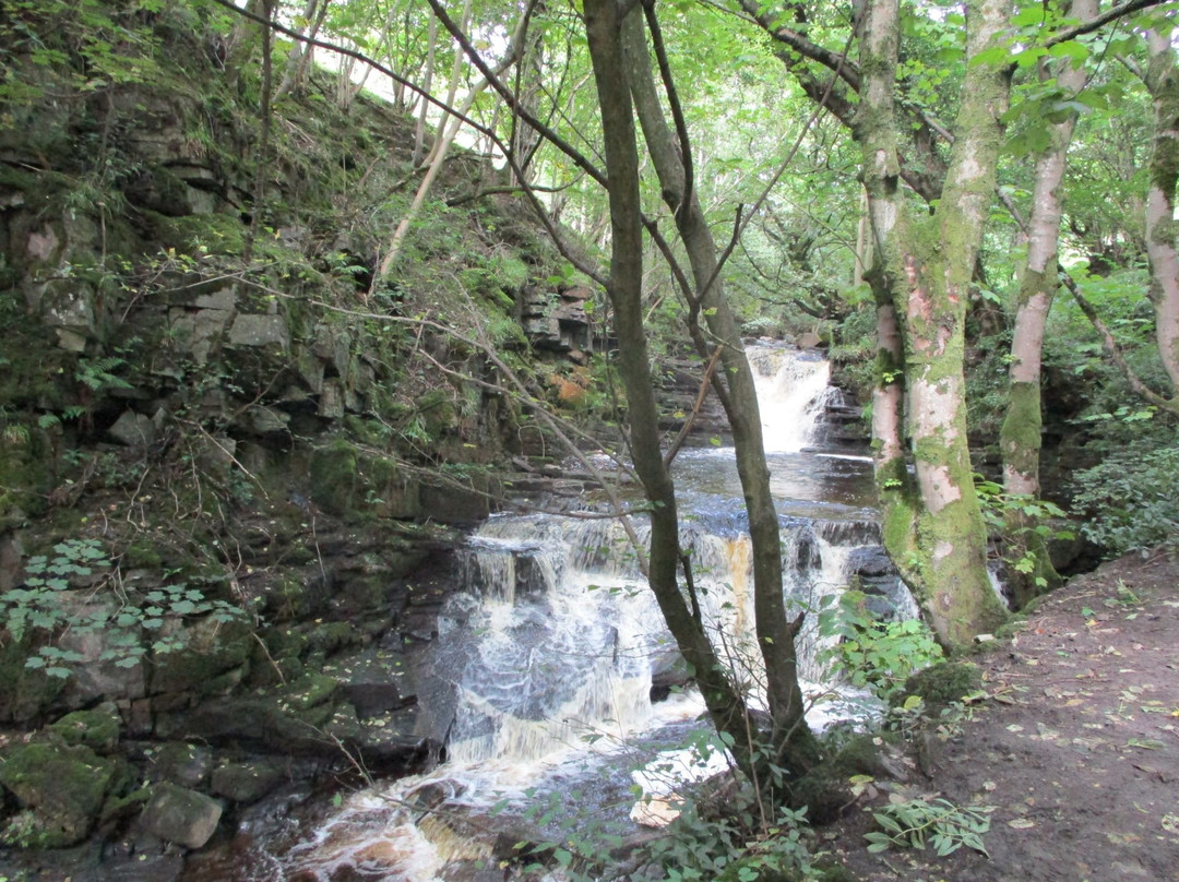 Slitt Wood and West Rigg Geotrail景点图片