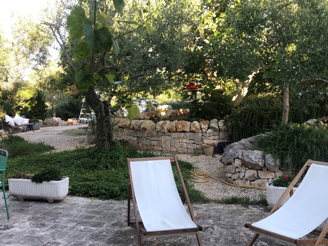 Trulli Gallo Rosso主图