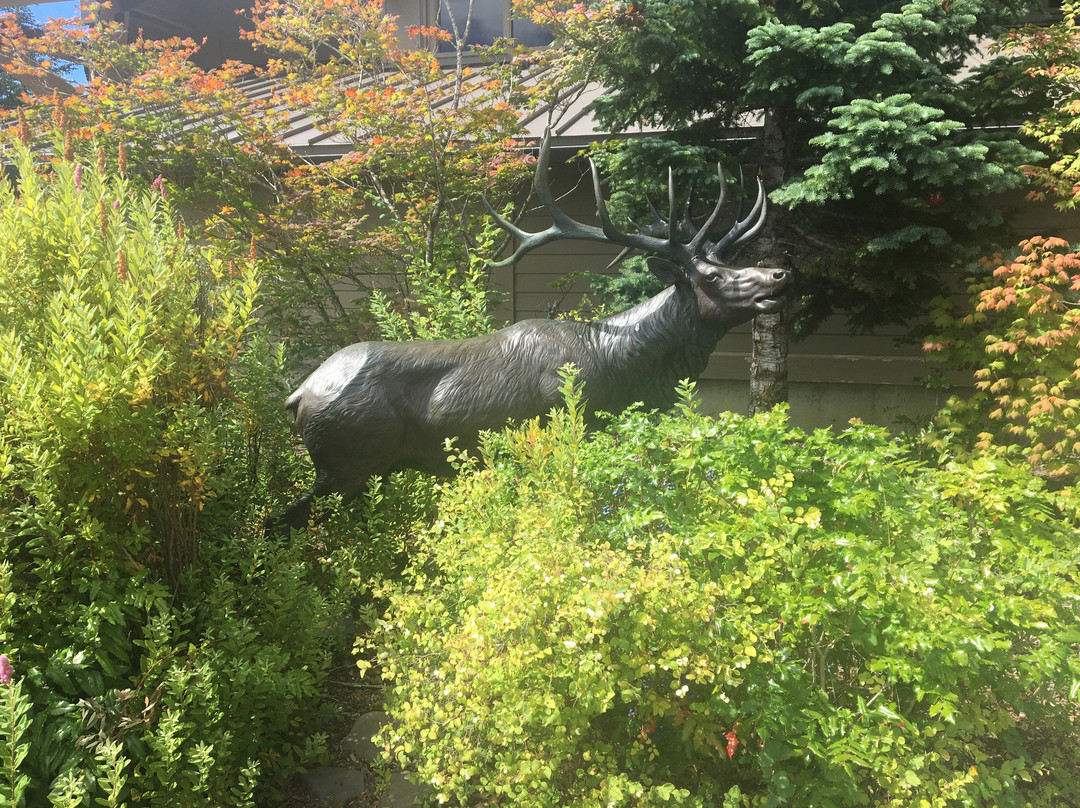 The Forest Learning Center at Mount St. Helens景点图片