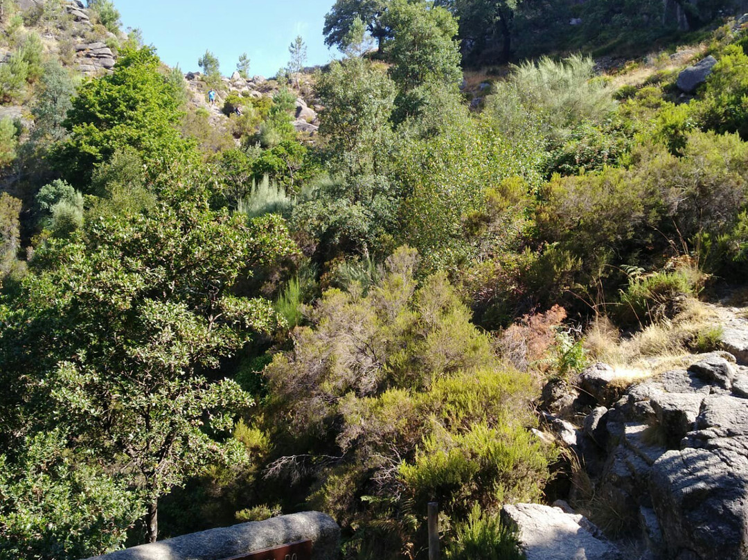 Cascata do Arado景点图片
