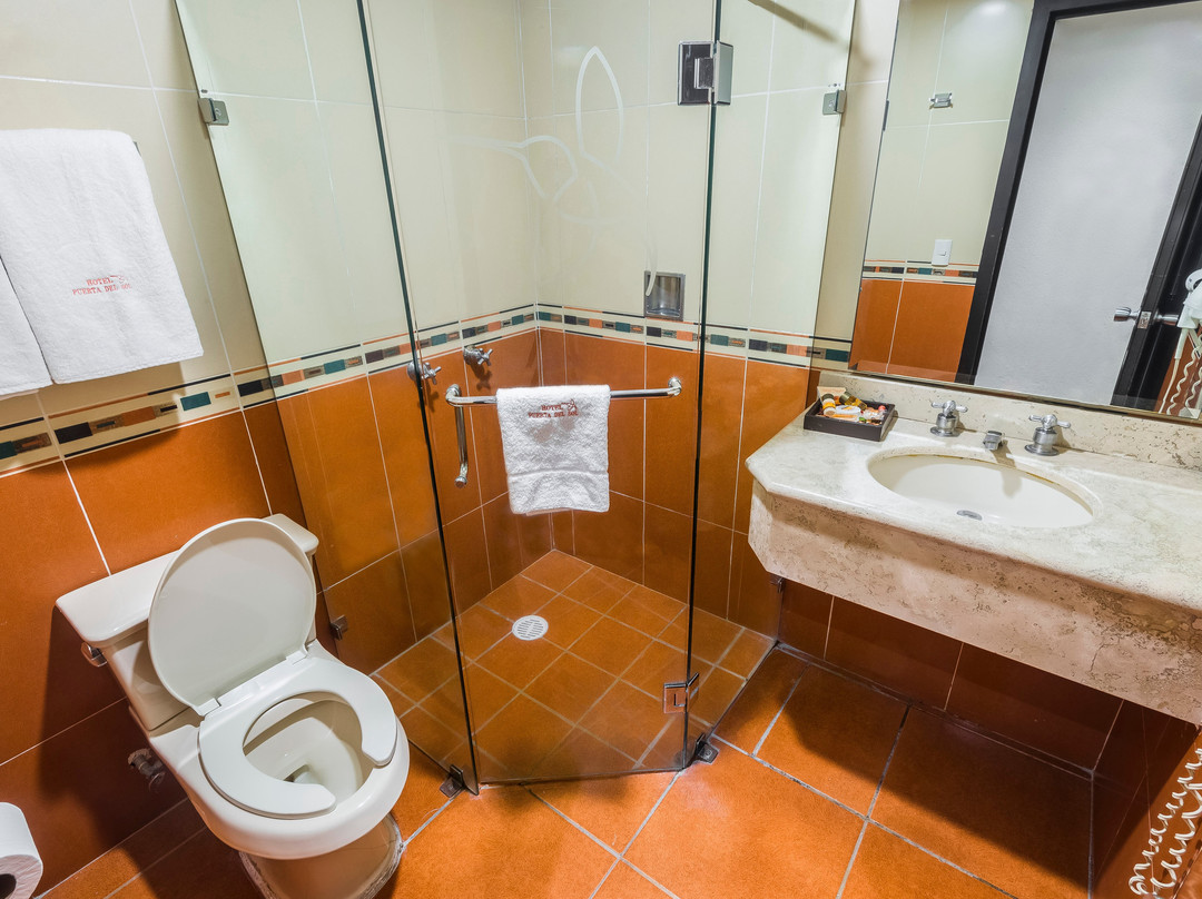 Hotel Puerta Del Sol主图