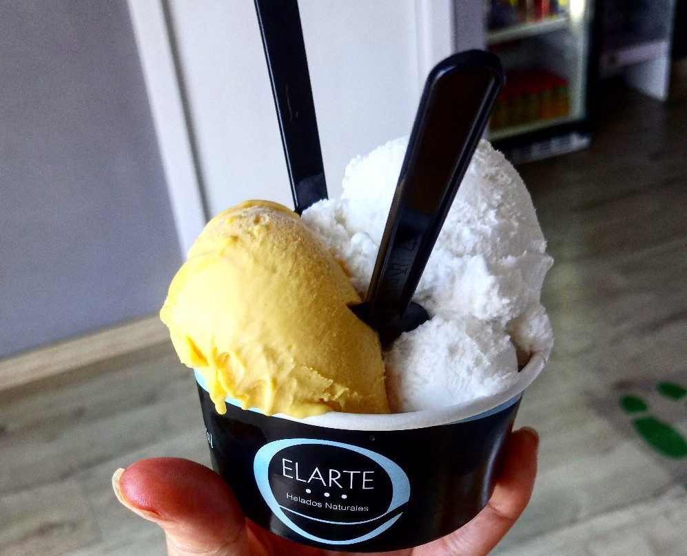 Obrador Helados Elarte