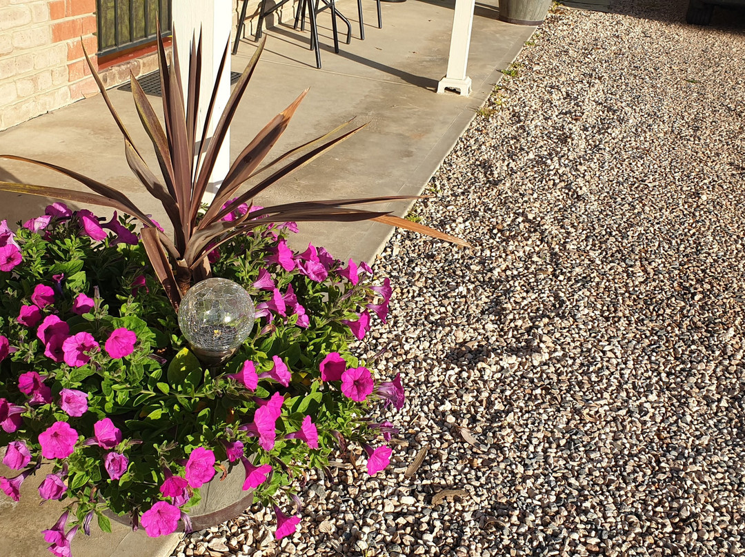 Lake Albert Motel主图