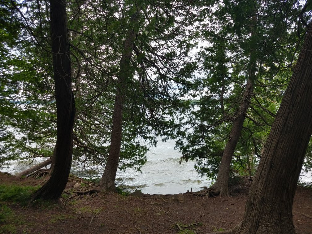 Bass Lake Provincial Park景点图片