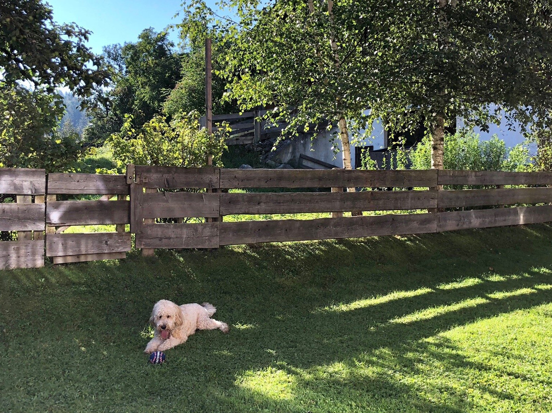 Bewegte Berge Apartments主图