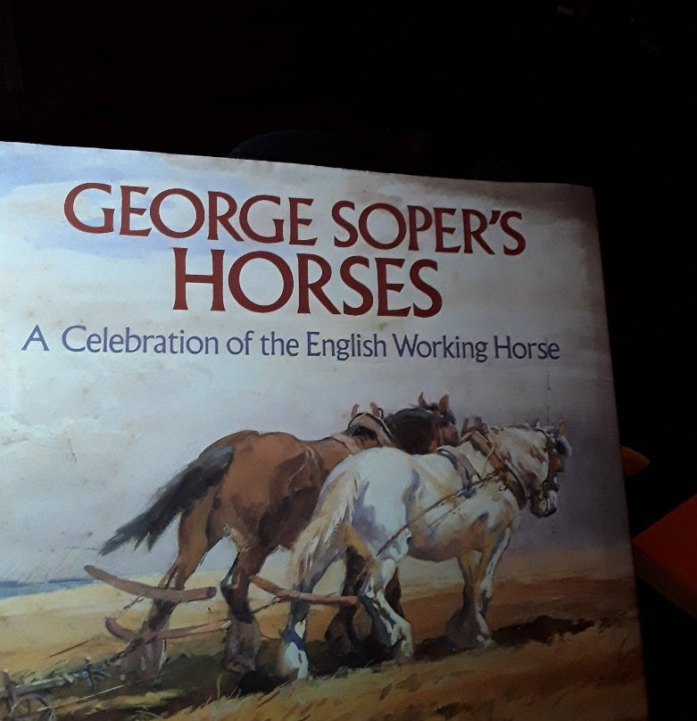 Yorkshire Quality Paperbacks-皮克灵必去景点