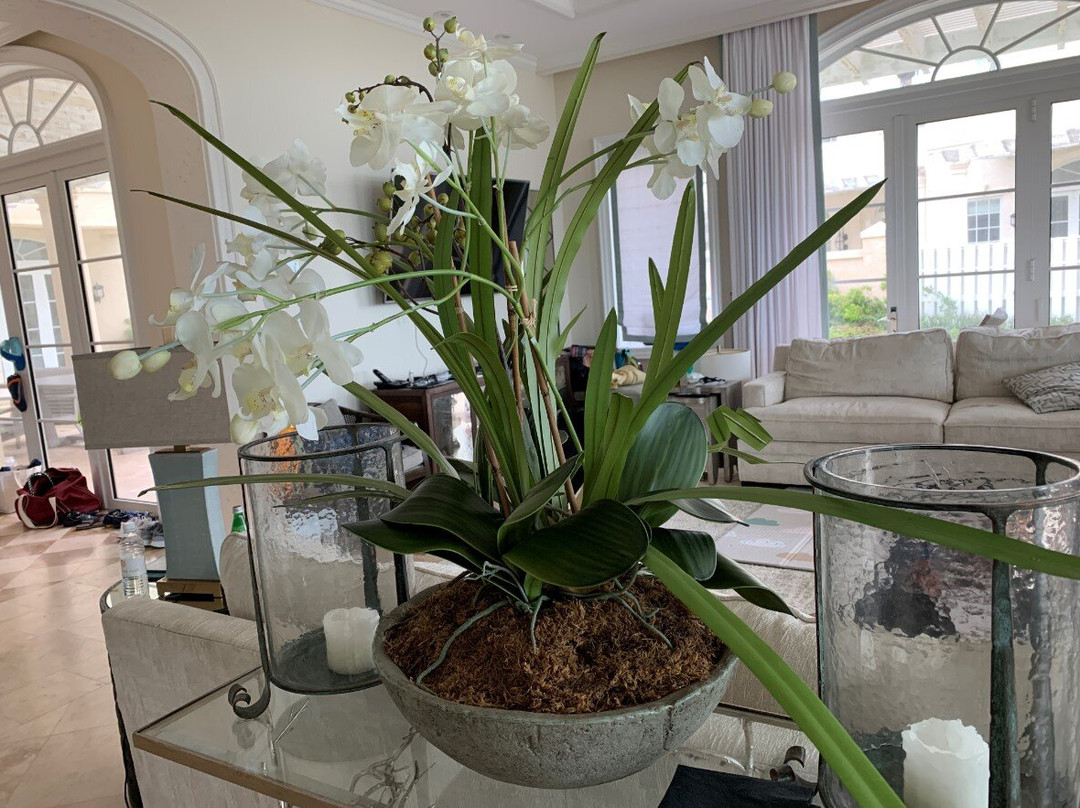 The Shore Club Turks & Caicos主图