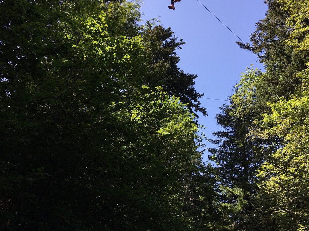 Mont Dore Aventures-蒙多尔必去景点