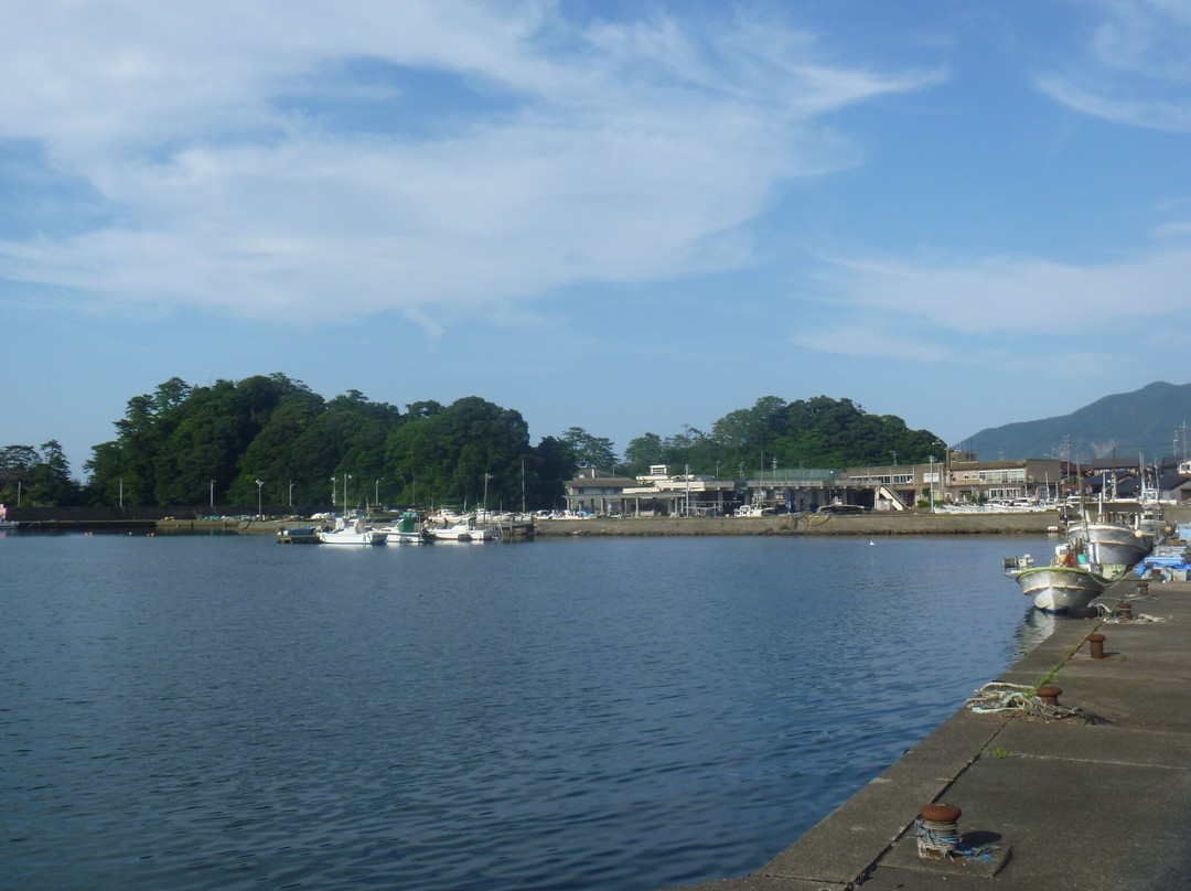Takahama Fishery Bay景点图片