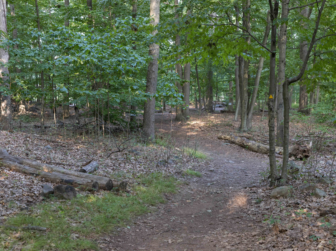 Tenafly Nature Center景点图片