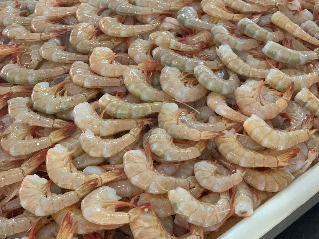 Mercado do Peixe景点图片