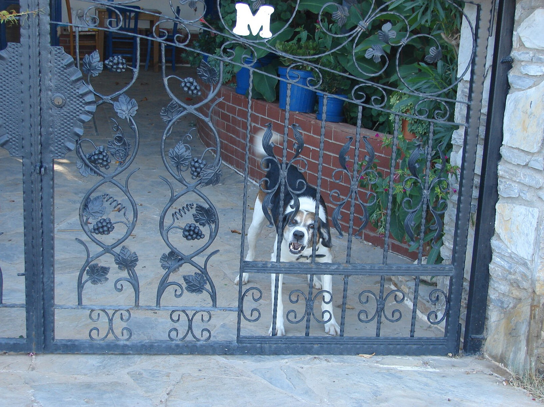 Sagir'in Bahcesi-博兹贾阿达必去景点