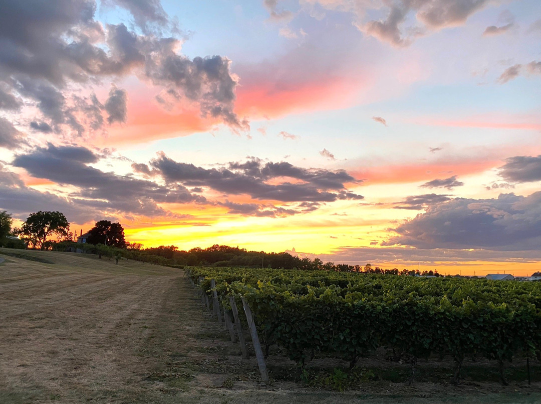 Peninsula Ridge Estates Winery景点图片