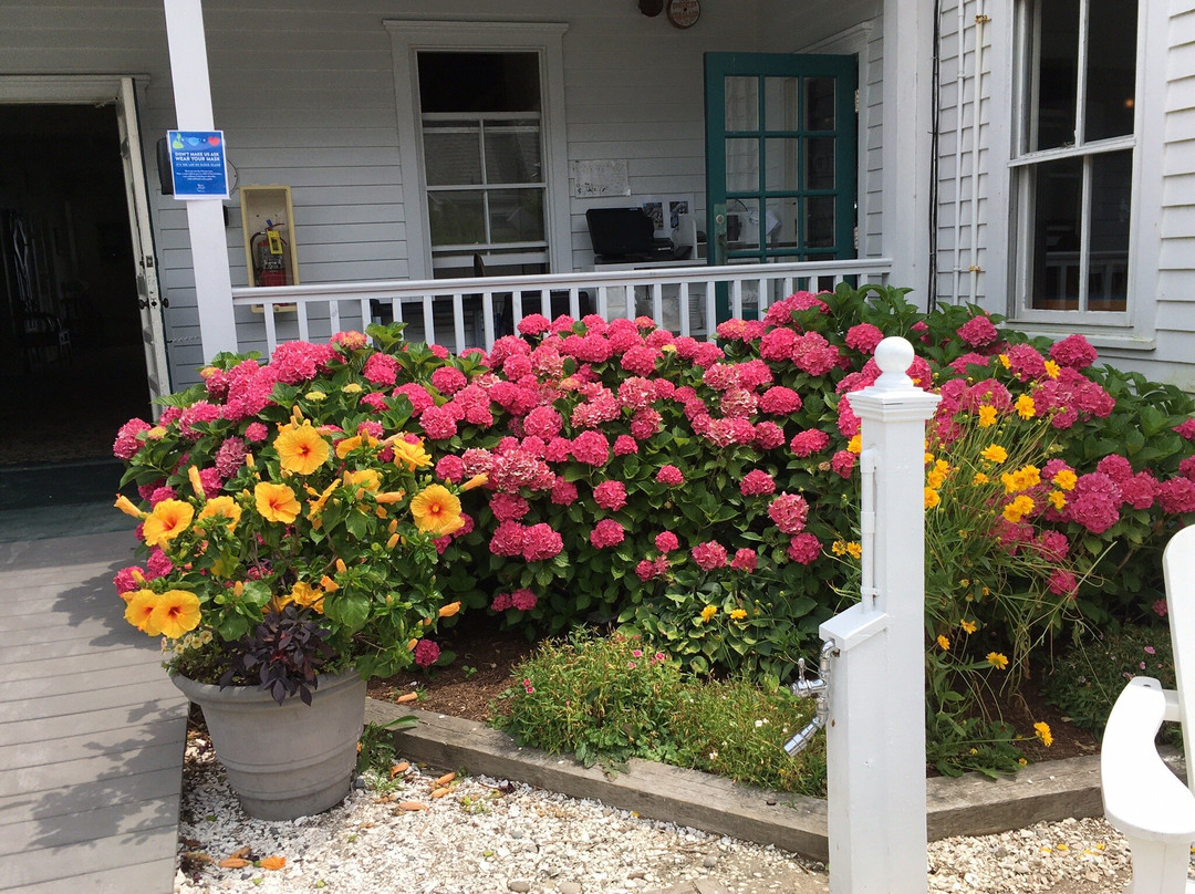 The National Hotel主图