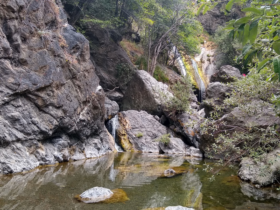 Salmon Creek Falls Trail景点图片
