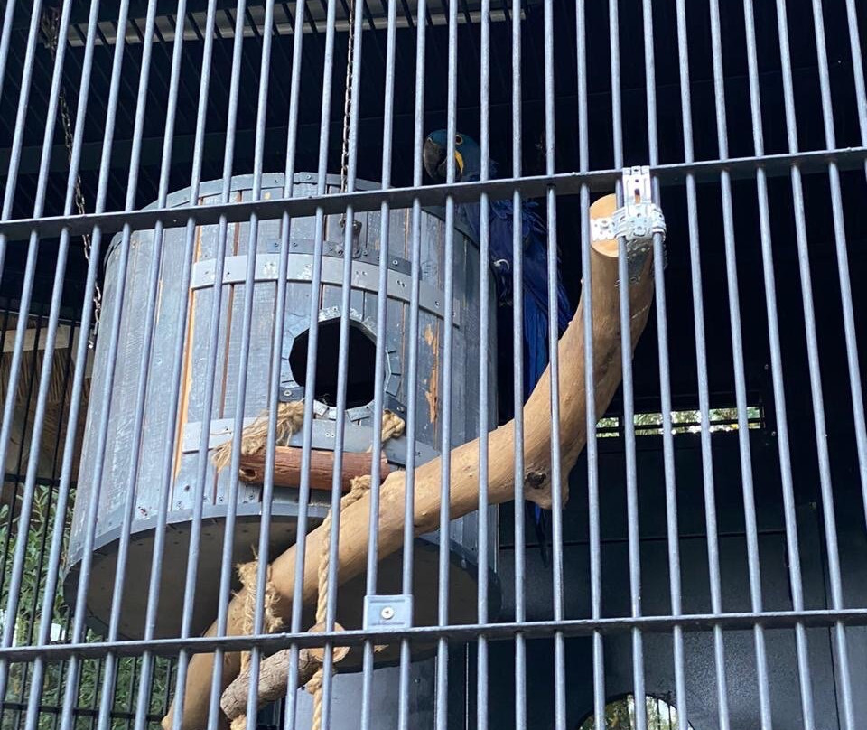 Swimming Pool of the Hotel Yalta Intourist-雅尔达必去景点