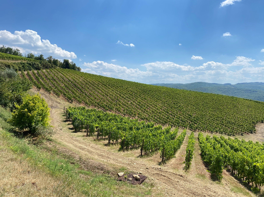 Fattoria di Montemaggio-拉达因基安蒂必去景点