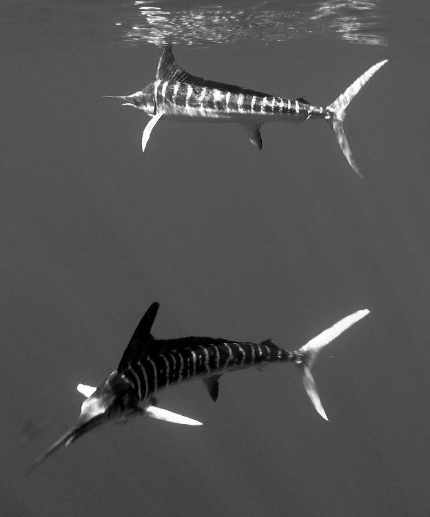 Nakawe Experiences-拉巴斯必去景点