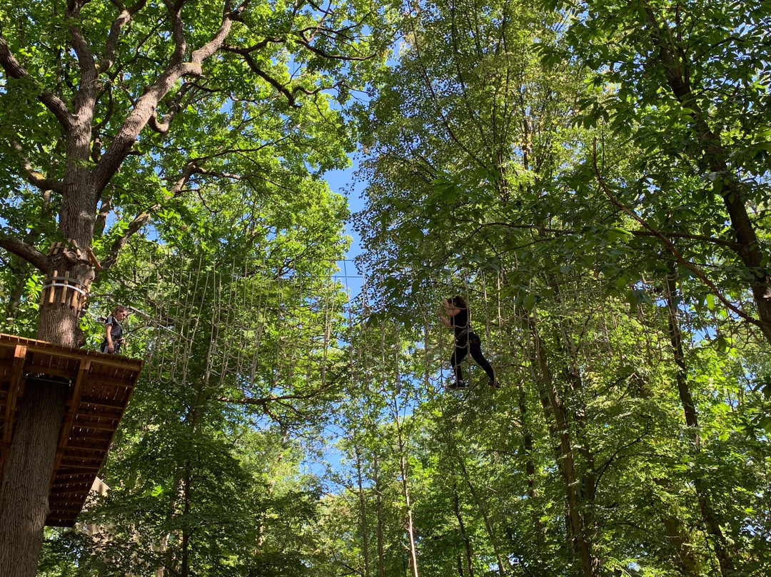 AccroCamp Saint-Germain-en-Laye-圣日尔曼莱昂必去景点