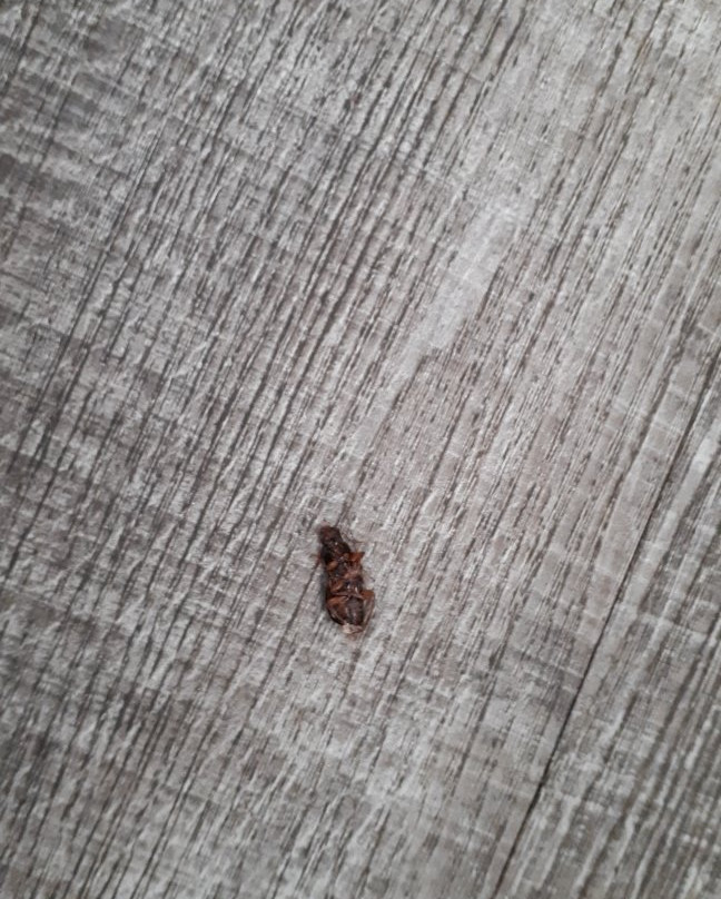 Hotel Inn Design Resto Novo主图