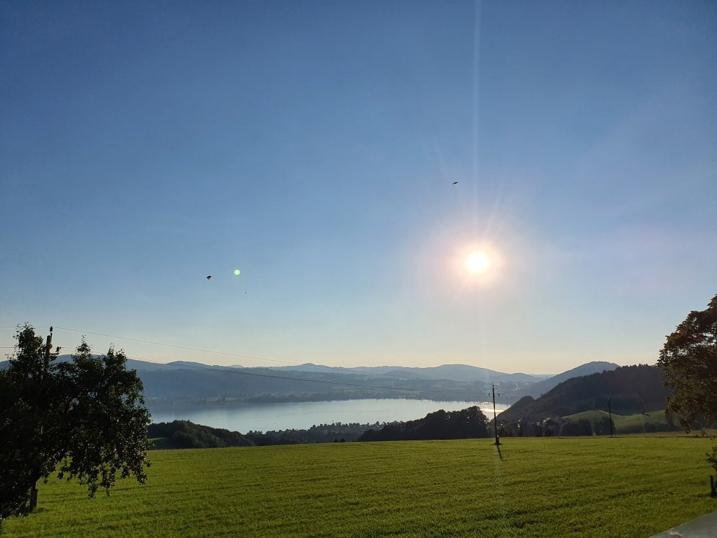 Schoeberingerhof Gasthof主图