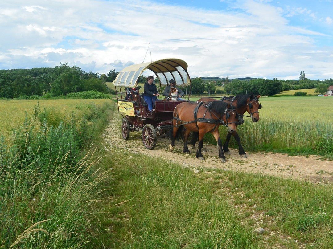 Les Attelages de la Bievre-Saint-Hilaire-de-la-Cote必去景点