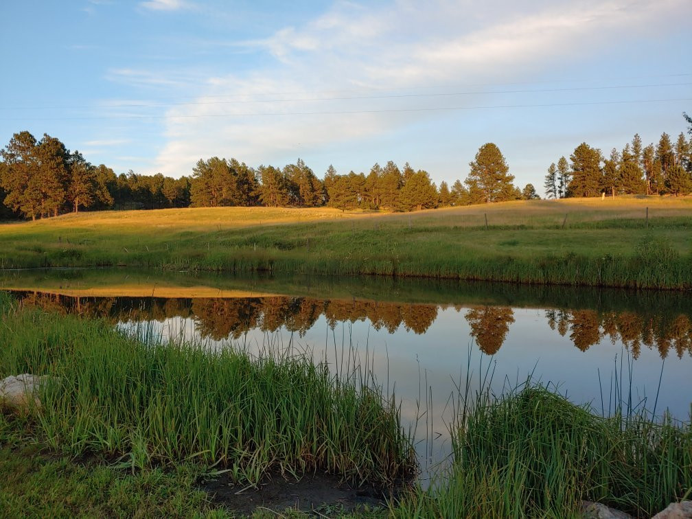 Gold Camp Cabins主图