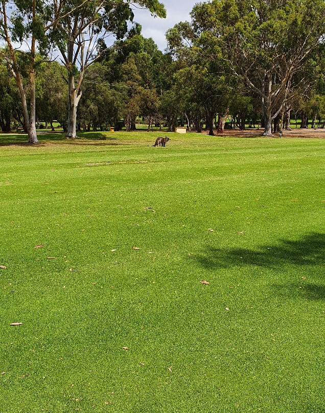 Margaret River Golf Club-玛格丽特河必去景点