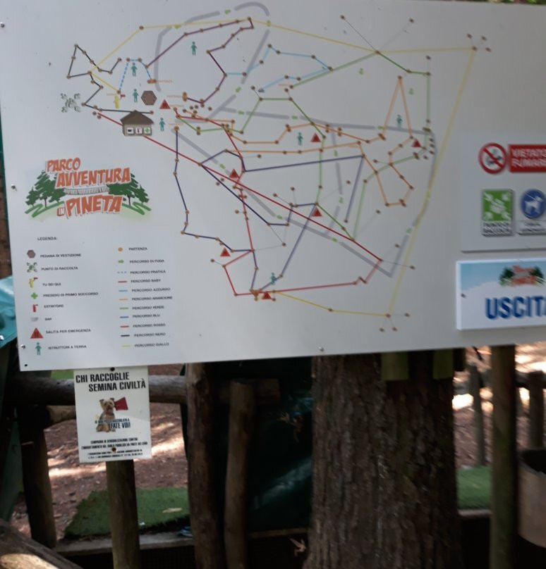 Parco Avventura Pineta景点图片