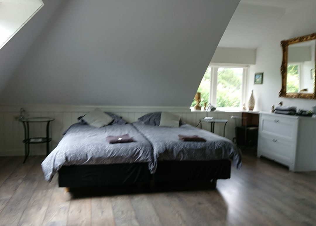 Shepherd's House主图