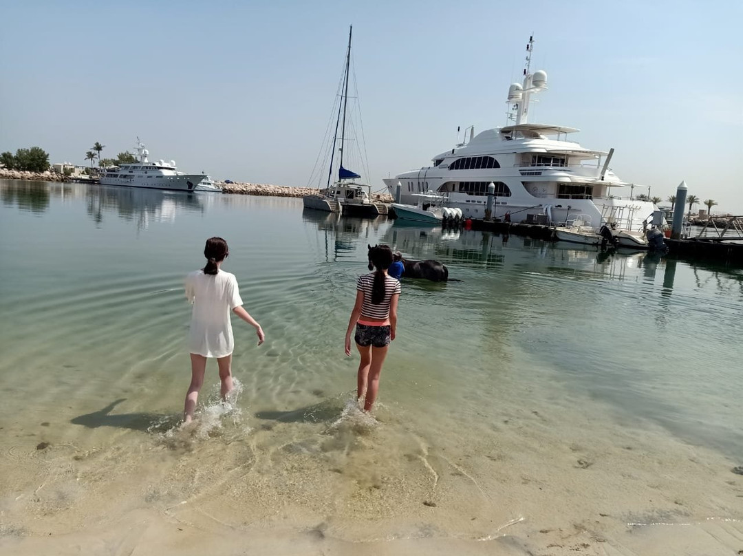 JA Equestrian Centre-杰贝阿里必去景点