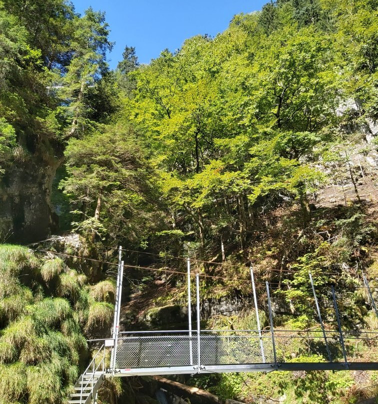 Hängebrücke Leiternweide景点图片