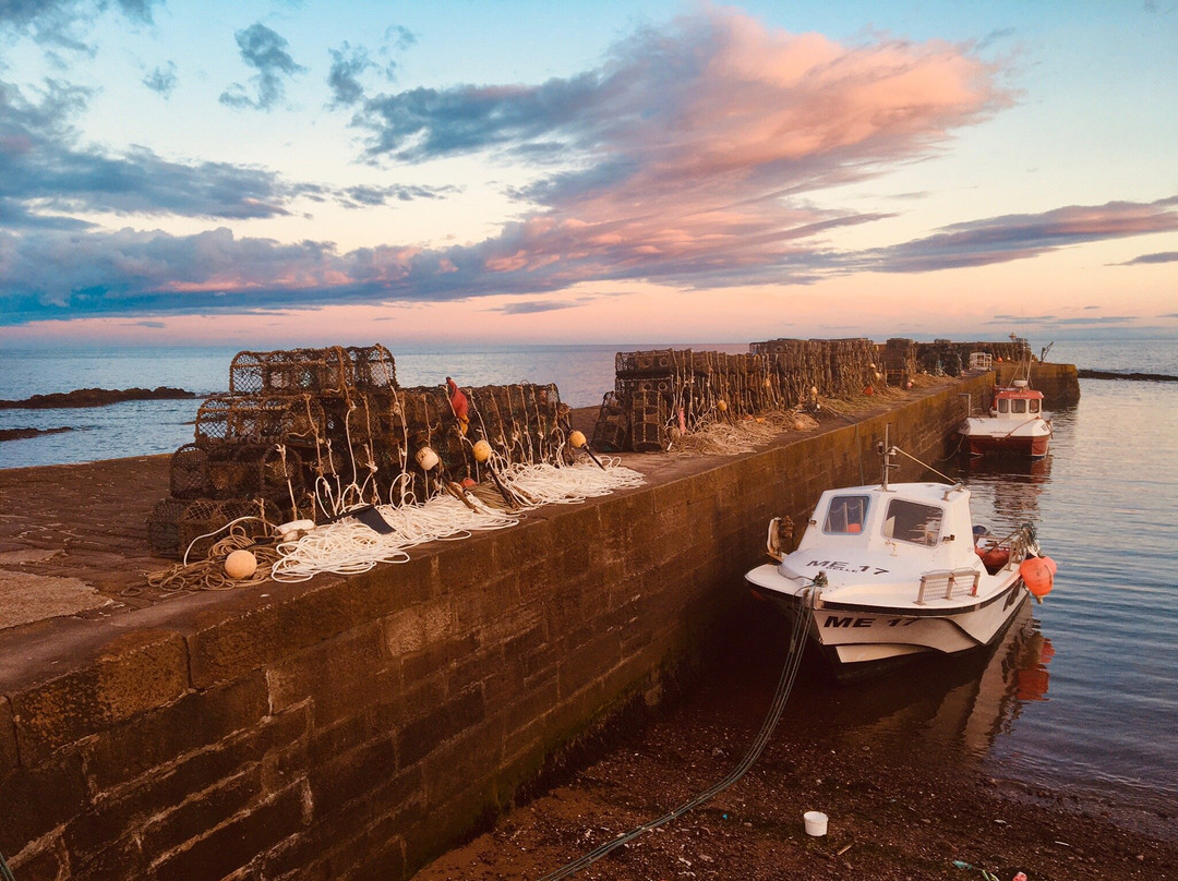 Johnshaven旅游攻略图片