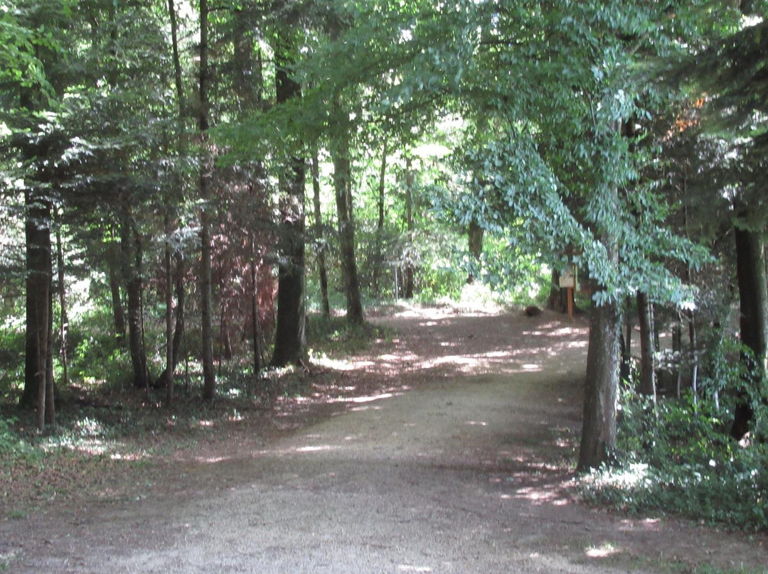 Le Sentier Forestier Olympique-德莱蒙必去景点