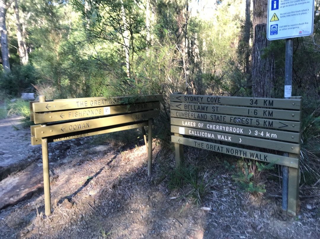 Berowra Valley National Park景点图片