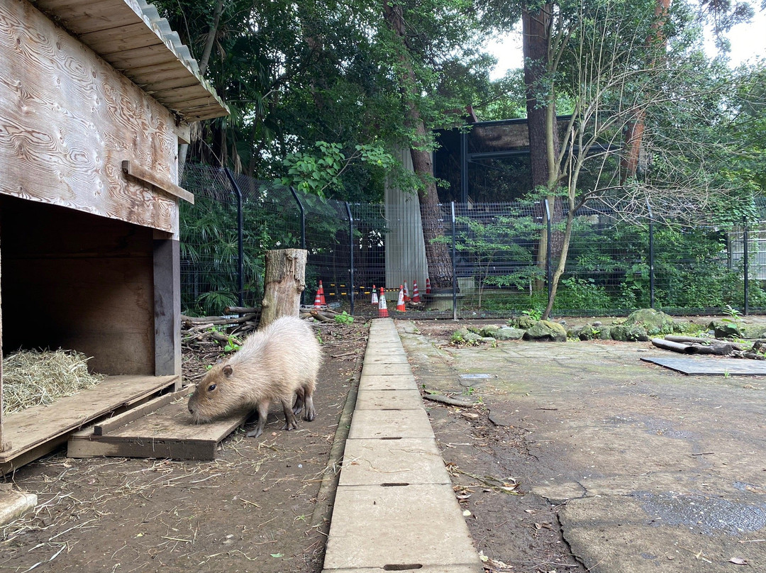 Omiya Park Zoo-埼玉市必去景点