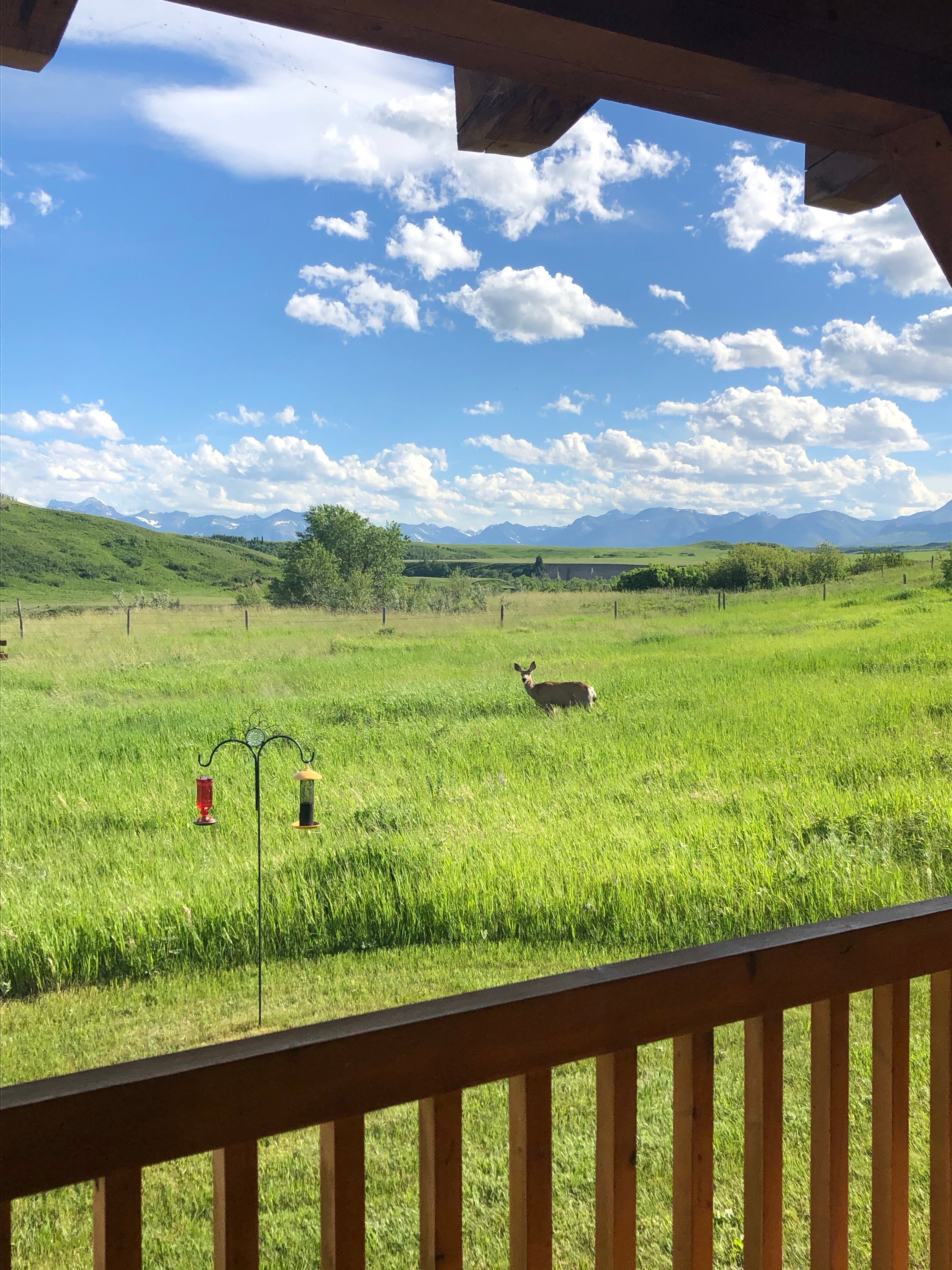 Waterton River Suites-酒店景观