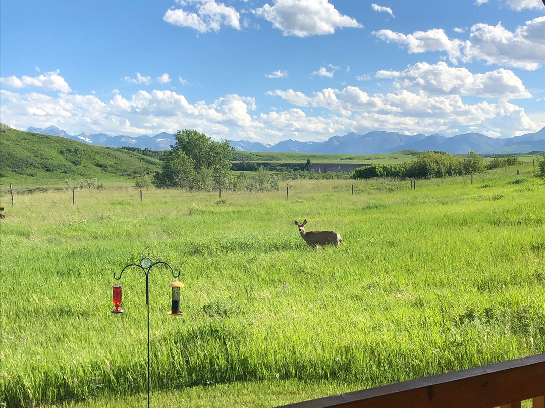 Waterton River Suites主图