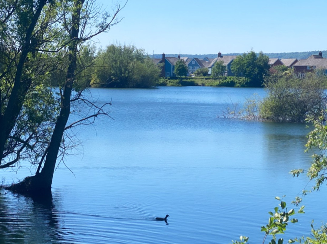 Leybourne Lakes Country Park景点图片