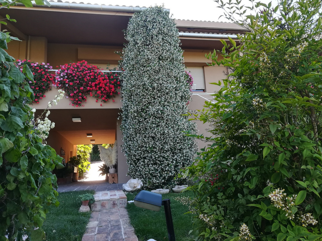 Villa Capodarco主图
